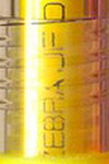ZEBRA SARASA CLIP  Milk 0.5 JJ15-MK  / Neon Color 0.5  JJE15